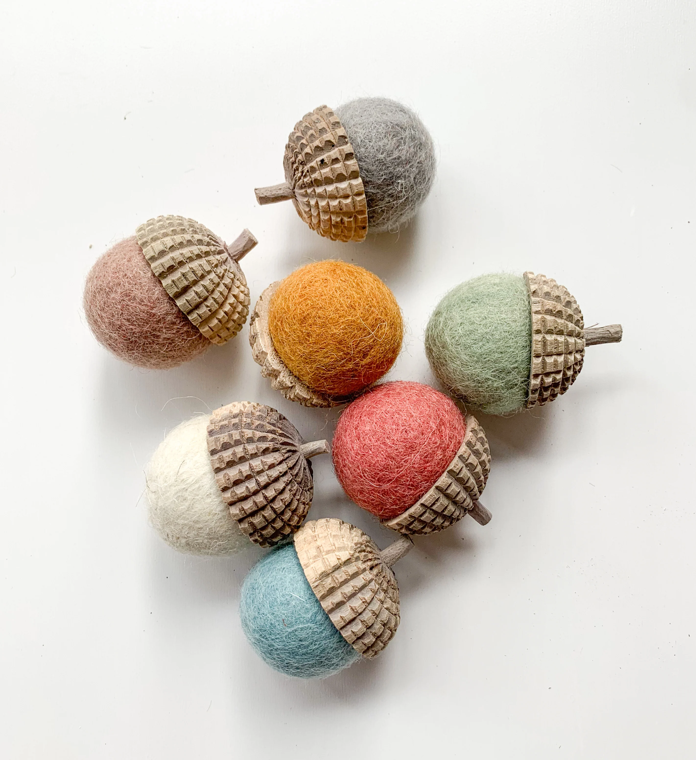 Papoose Earth acorns - Image 3